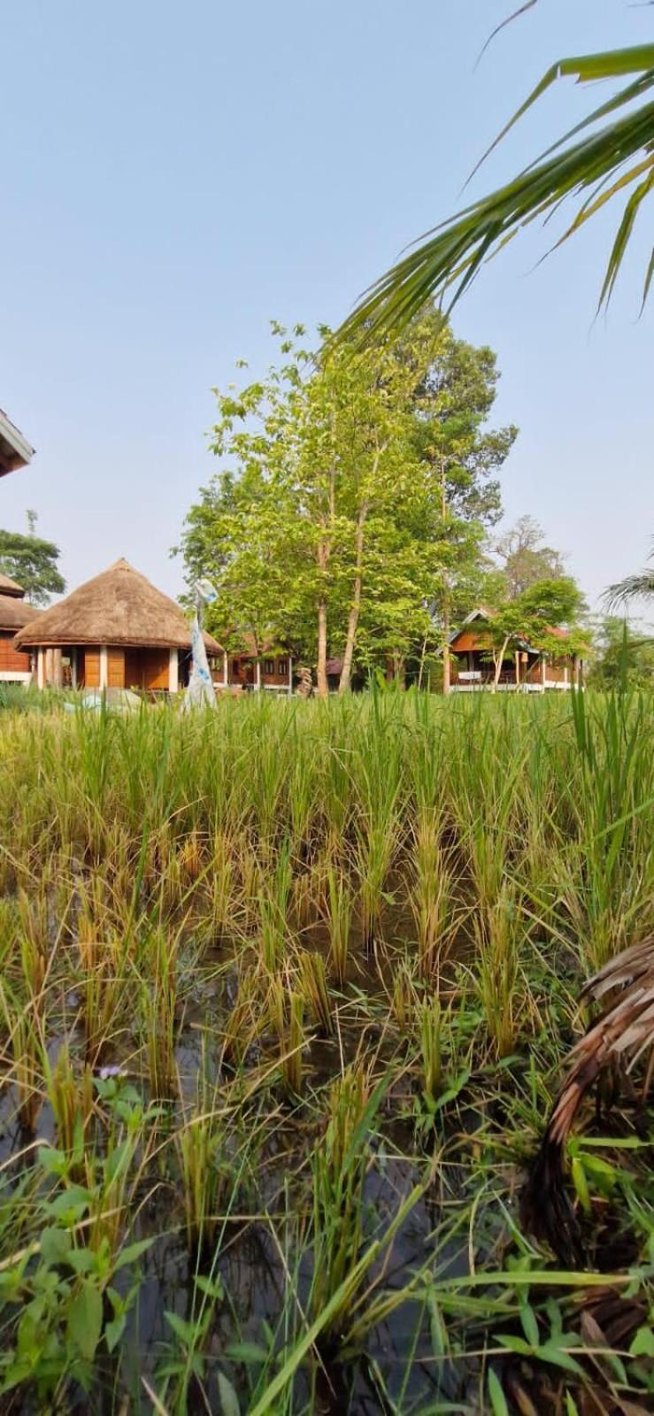 Bolaven Garden Bungalow And Tent - Tad Lo Ban Kiangtat Exterior foto