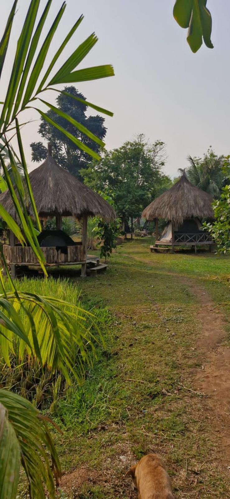 Bolaven Garden Bungalow And Tent - Tad Lo Ban Kiangtat Exterior foto