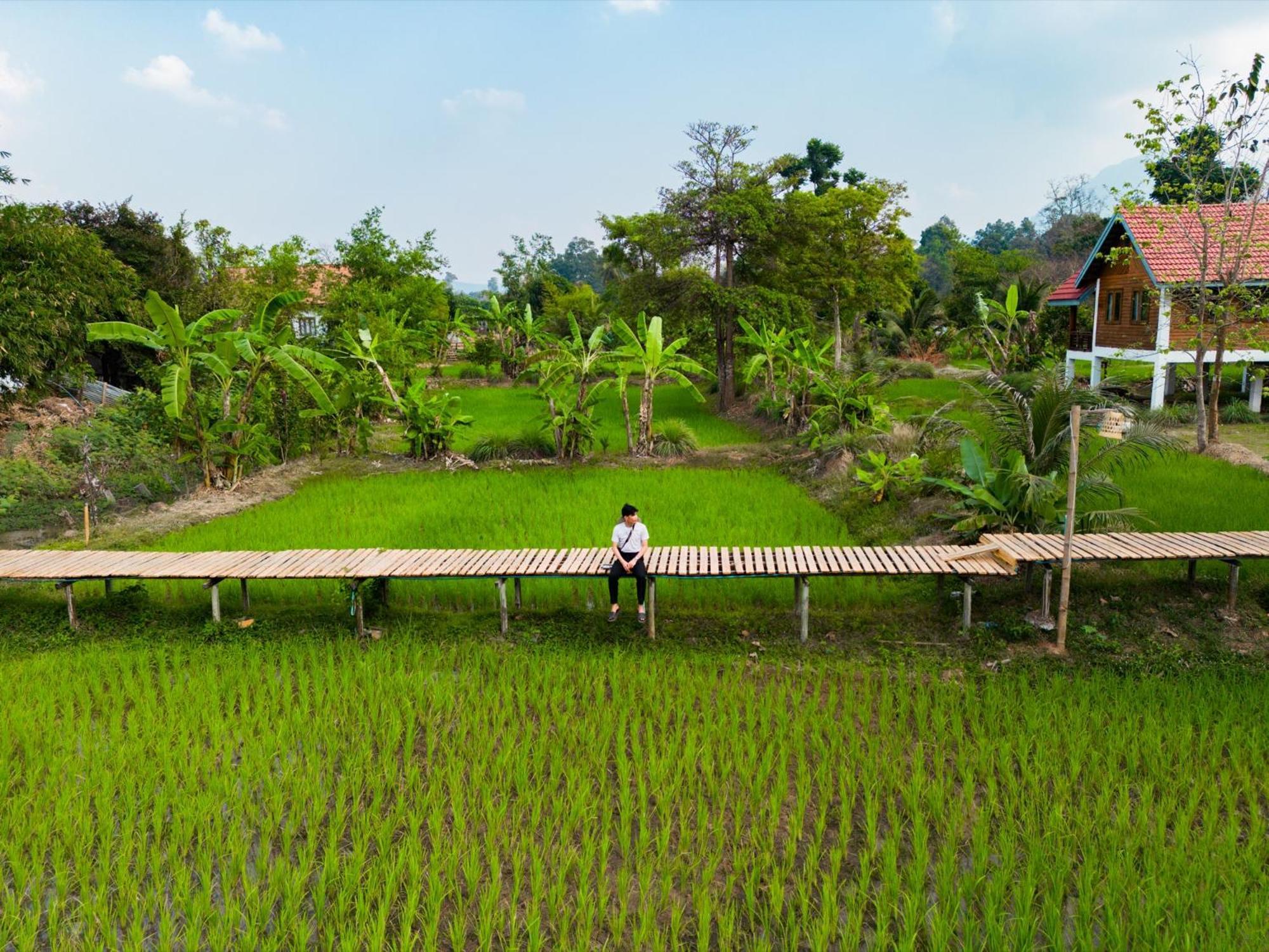 Bolaven Garden Bungalow And Tent - Tad Lo Ban Kiangtat Exterior foto