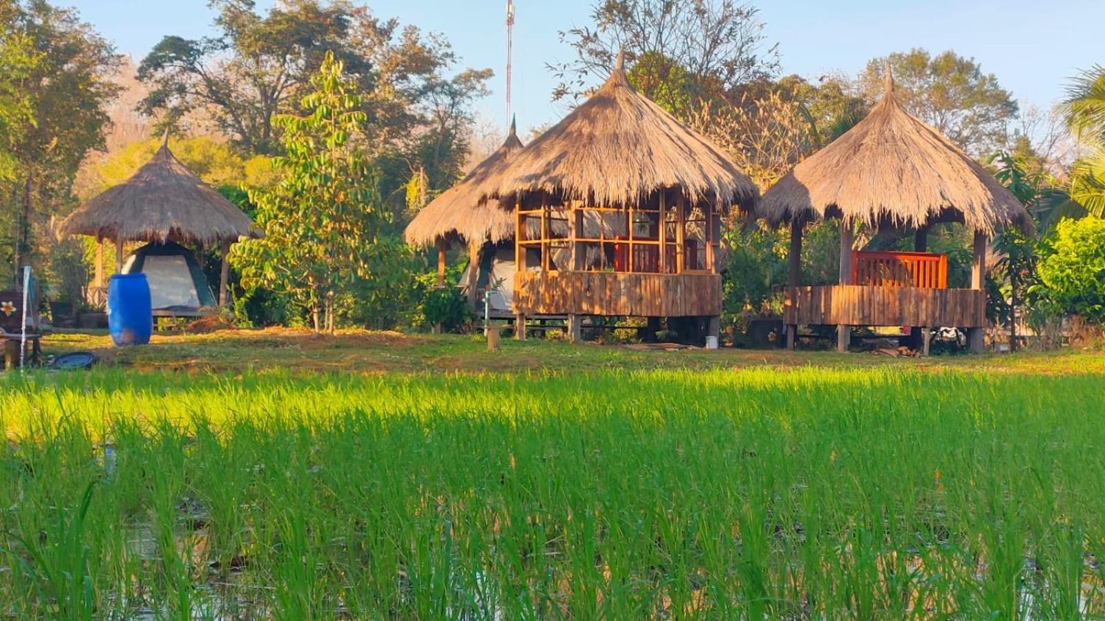 Bolaven Garden Bungalow And Tent - Tad Lo Ban Kiangtat Exterior foto